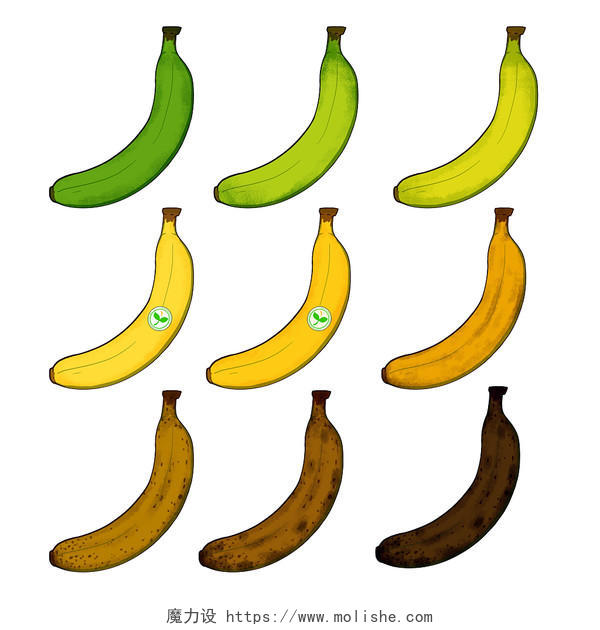 手绘卡通香蕉的一生原创插画海报